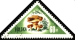 Stamps : Europe : Poland :  Hongos de Polonia, Lactarius deliciosus-rydz.