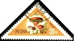 Sellos de Europa - Polonia -  Hongos de Polonia, Boletus luteus-maslak.