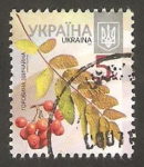 Sellos de Europa - Ucrania -  Hoja y fruto