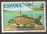 Stamps Spain -  2406 - Una Carpa