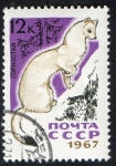 Stamps Russia -  Fur animal