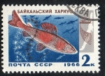 Sellos de Europa - Rusia -  Baikal fish