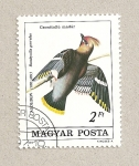 Stamps Hungary -  Ave Bombycilla garrulus