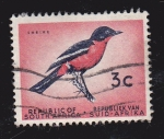 Stamps South Africa -  REPÚBLICA DE SUDÁFRICA