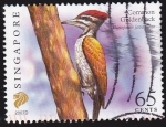 Stamps Asia - Singapore -  SINGAPUR - AVES - COMMON GOLDENBACK