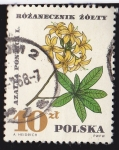 Sellos del Mundo : Europa : Polonia : POLONIA - FLORES 