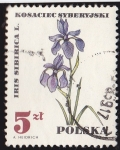Stamps Poland -  POLONIA - FLORES IRIS