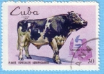 Stamps : America : Cuba :  Ganado Vacuno