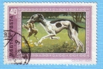Stamps Hungary -  Galgo