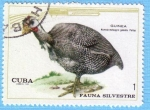 Stamps : America : Cuba :  Fauna Silvestre - Guinea