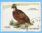 Sellos de America - Cuba -  Fauna Silvestre - Codorniz