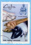 Stamps : America : Cuba :  Ganado Porcino