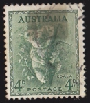 Sellos de Oceania - Australia -  AUSTRALIA - KOALA
