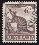 Sellos de Oceania - Australia -  AUSTRALIA - NUMBAT