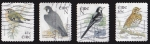 Stamps : Europe : Ireland :  IRLANDA - AVES