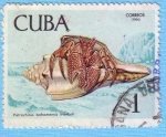 Stamps : America : Cuba :  Petrochirus bahamensis (Herbst)