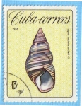Stamps Cuba -  Liguus fasciatus archeri
