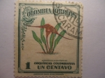 Stamps Colombia -  Orquídeas Colombianas-Masdevallia  Nicterina.