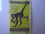 Stamps Colombia -  Marimba - Mono Araña de Vientre Blanco (Alexander Von Humboldt-Centenario de su muerte 1859-1959)