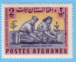 Stamps Afghanistan -  Afghan Scout 