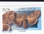 Stamps : Africa : Cape_Verde :  Trichoplusiani