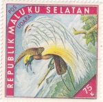 Stamps : Asia : Indonesia :  ISLAS MOLUKAS - Aves