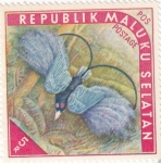 Stamps : Asia : Indonesia :  ISLAS MOLUKAS - Aves