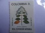 Stamps Colombia -  REAL EXPEDICIÓN BOTÁNICA (Cinchona Lanceifolia)
