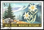 Sellos de Asia - Mongolia -  Paisajes con flores leontopodium ochroleucum.