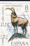Stamps Spain -  Cabra montes     (E)