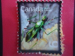 Sellos de America - Canad -  Zeluz Luridus.