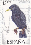 Stamps Spain -  Estornino Negro     (E)