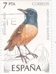 Stamps Spain -  Roquero Rojo    (E)