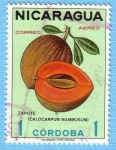Sellos de America - Nicaragua -  Zapote