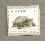 Stamps Austria -  Tortuga Emys orbicularis