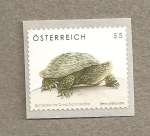 Sellos de Europa - Austria -  Tortuga Emys orbicularis