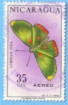 Stamps Nicaragua -  Lymnias Pixa