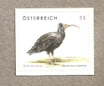 Stamps : Europe : Austria :  Ibis eremita