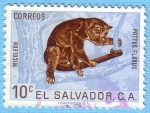 Stamps El Salvador -  Micoleón