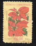 Stamps Turkey -  Flor de Pascua