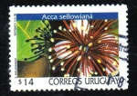 Stamps Uruguay -  Guayabo