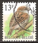 Stamps Belgium -   Gorrión (Moineau gregario). 