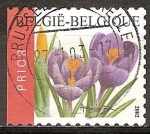 Stamps Belgium -  Flores. Crocus Vernus.