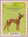 Stamps : America : Peru :  Fauna. Perro Sin Pelo del Perú, Canis nudus.