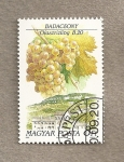 Sellos de Europa - Hungr�a -  Variedades uva para vinificación