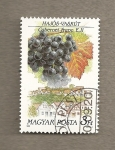 Sellos de Europa - Hungr�a -  Variedades uva para vinificación