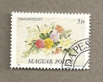 Stamps Hungary -  Flores espontáneas