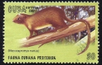 Stamps America - Cuba -  Fauna cubana protegida - Jutía enana