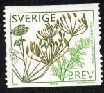 Stamps Sweden -  Eneldo