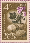 Stamps Russia -  Agricultura. La Papa.